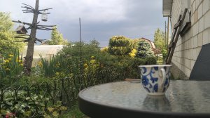 Опора под огурцы  готова.Как шпалерную сетку крепила.Всем спасибо🙏.04-06-2026