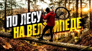 Атмосферная Релакс ВЕЛО прогулка по Шикарному лесу. (Без слов)