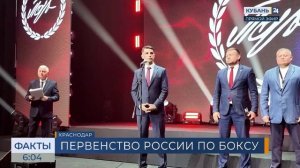 В Краснодаре стартовало первенство России по боксу