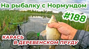 Карась на флэт в деревенском пруду / На рыбалку с Нормундом