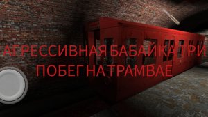 АГРЕССИВНАЯ БАБАЙКА ТРИЖДЫ ПОБЕГ НА ТРАМВАЕ