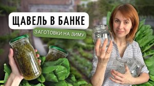 Щавель в банках - простой рецепт | Заготовки на зиму своими руками