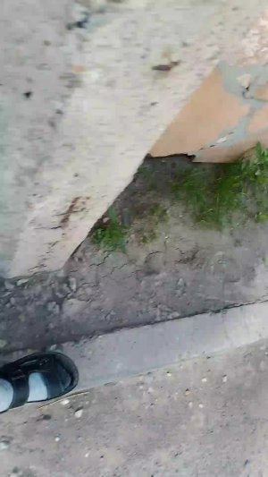атата