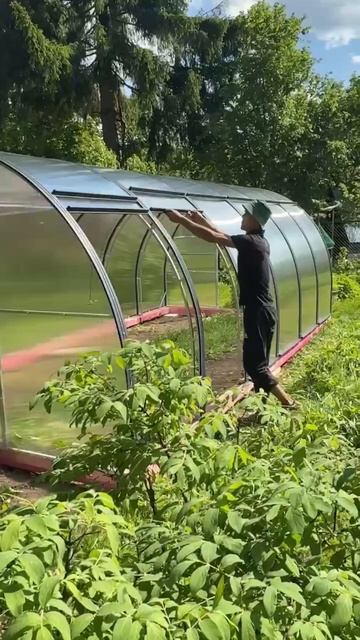 Теплица Урожай с открывающийся крышей, ширина панели  1 м