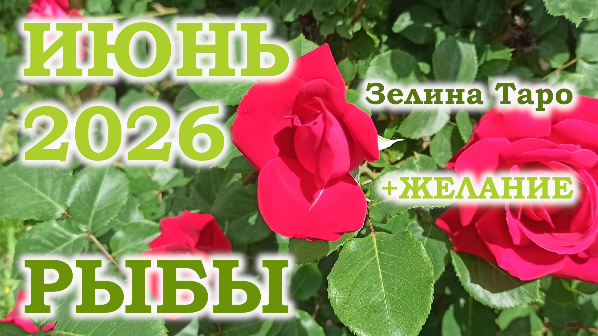 РЫБЫ | ТАРО прогноз на ИЮНЬ 2026 года | Желание | Расклад таро смотреть онлайн