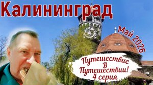 Калининград, май 2026. Путешествие в путешествии. Зеленоградск, Светлогорск, Гурьевск, Нойхаузен.