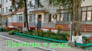 Вот и лето пришло 5 июня 2026 год.