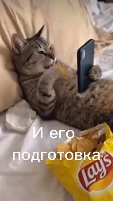 Экзамены / огэ / Тобольск / тренды / топ / тренд / мама с камерой