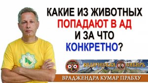 Какие из животных попадают в Ад и за что конкретно?