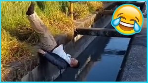 Лучшие смешные видео 🤣 - Люди, которые идиоты 🤣 Попробуй не смеяться - ОТ Funny Dog 🏖️ #61