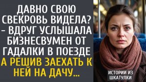 Истории из жизни Давно свою свекровь видела? - вдруг услышала бизнесвумен от гадалки в поезде…