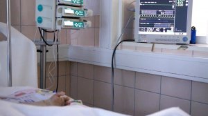 Годовалый югорчанин восстанавливается после укуса гадюки