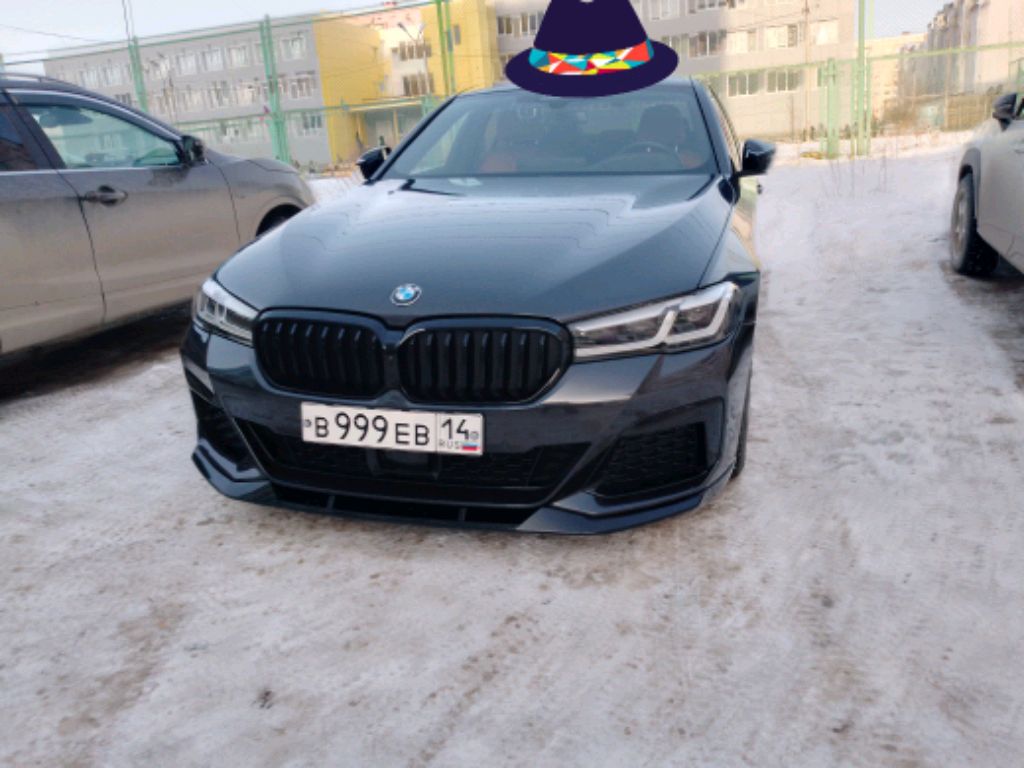 Мишадведь