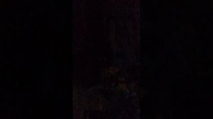 24 часа зомби апокалипсис