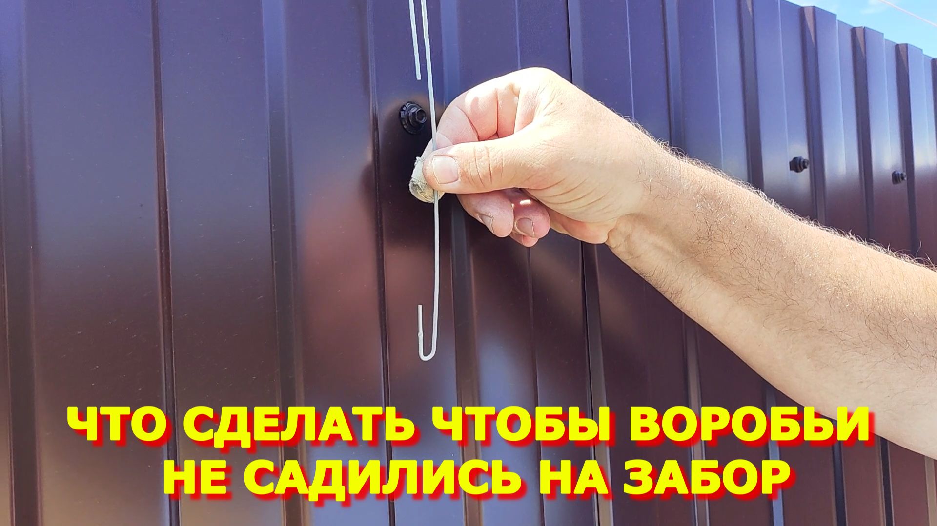 100.Получили сварочный аппарат История про Сёмочку Что сделать чтобы воробьи не садились на забор