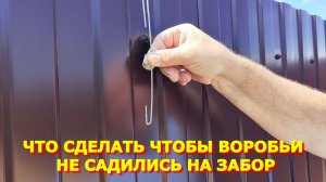 100.Получили сварочный аппарат /История про Сёмочку/ Что сделать чтобы воробьи не садились на забор