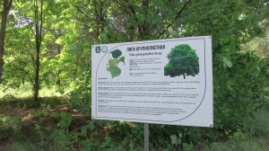«Специальный репортаж» Дендропарк в Тольятти 05.06.2026