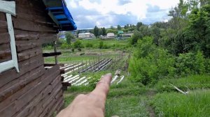 Высаживаю рассаду помидоров и перца в открытый грунт