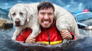 Мистер Бист спас 1000 Животных от смерти. 4К - Русский дубляж. MrBeast