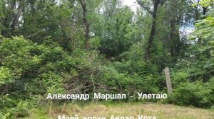 Маршал Александр - Улетаю