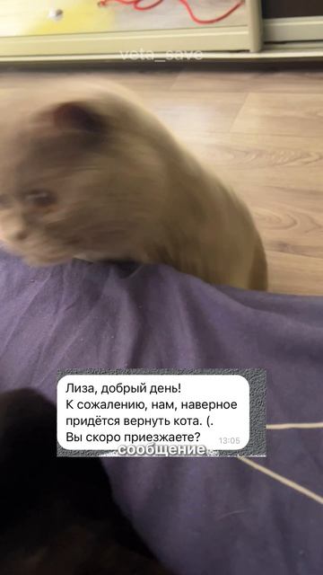 Спасли британца