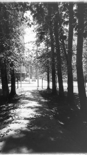 Lomo LC-A + Lucky SHD100Pro