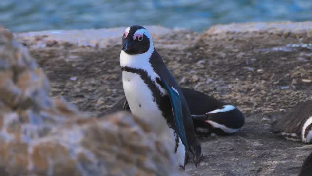 МУЗЫКА БЕЗ СЛОВ ДЛЯ СНЯТИЯ СТРЕССА И НАПРЯЖЕНИЯ смотреть онлайн