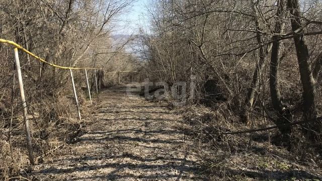 3550089 смотреть онлайн