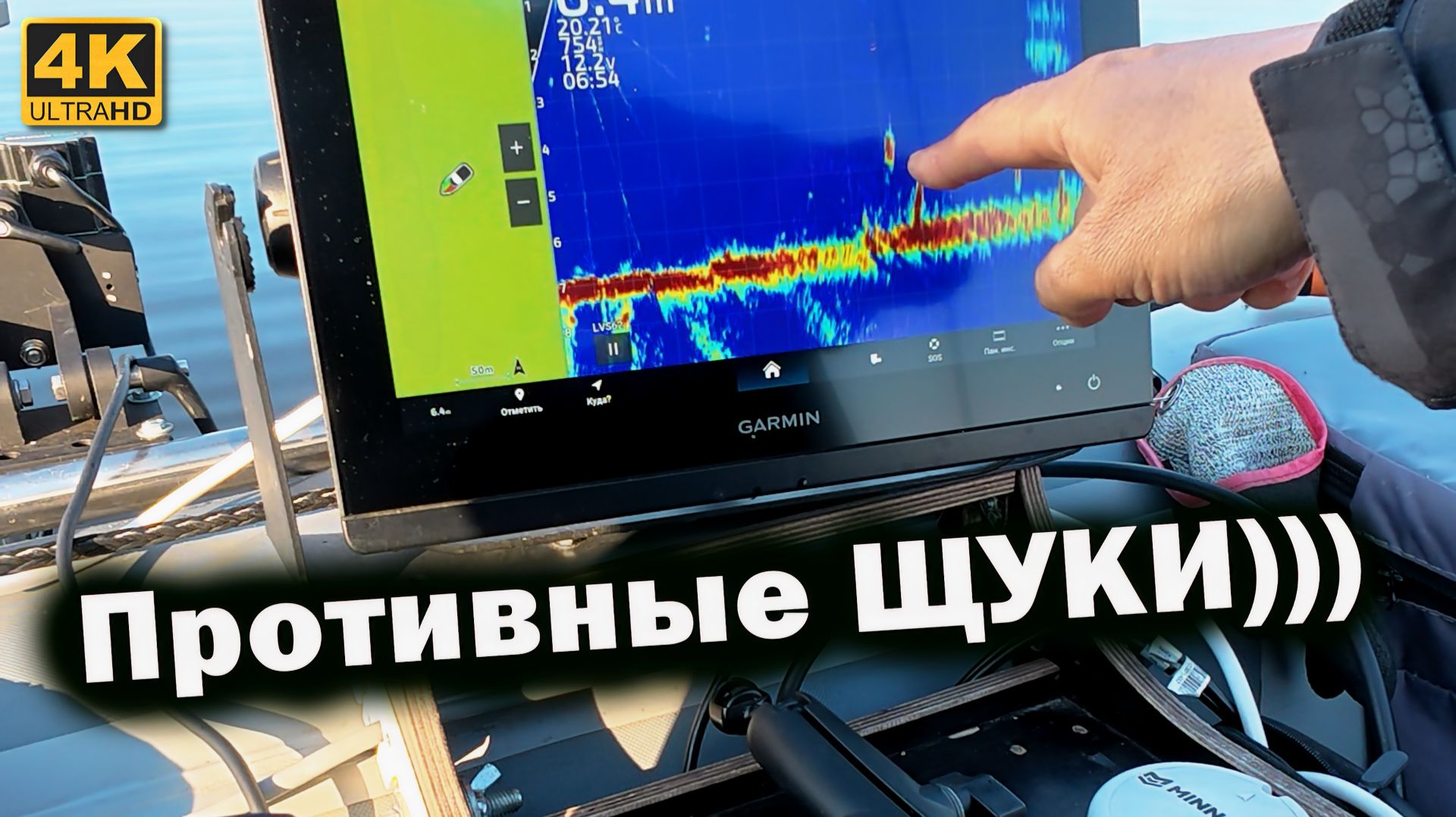 Panoptix Livescope и ПРОТИВНЫЕ ЩУКИ