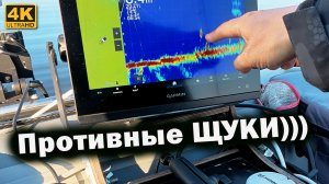 Panoptix Livescope и ПРОТИВНЫЕ ЩУКИ