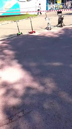 гуляем в парке, залезайте