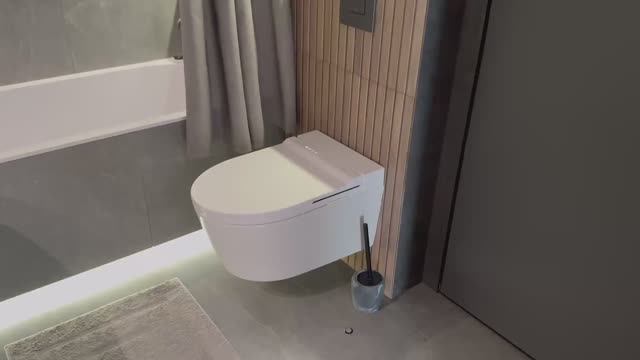 Отзыв на умный унитаз Brunnen Wal BW-2401 Auto open/close