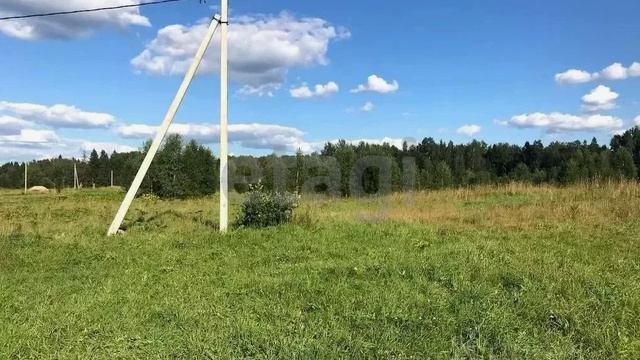 3586111 смотреть онлайн
