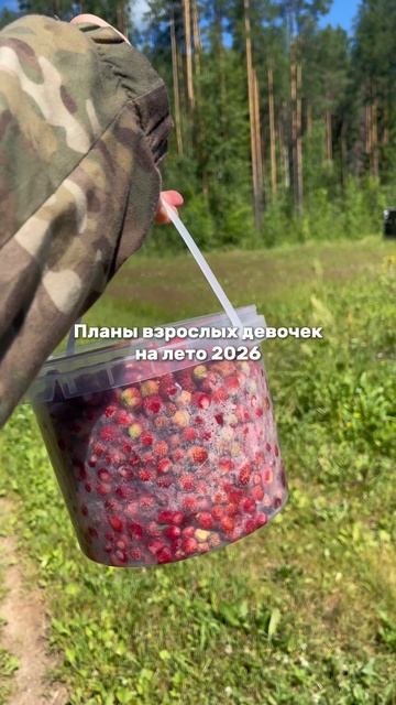 Мои планы на лето смотреть онлайн