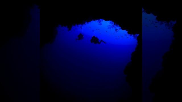 The Siren Song (Dahab) смотреть онлайн