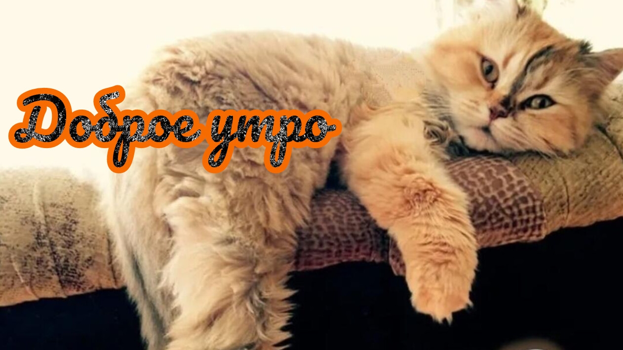 Доброе летнее утро. Шикарная музыкальная открытка. смотреть онлайн