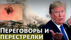 ИРАН УДАРИЛ ПО КУВЕЙТУ И БАХРЕЙНУ ПЕРЕМИРИЕ ТРЕЩИТ  ПОЧЕМУ  ВОКРУГ БОЛЕЗНИ ЛАЙМА СТОЛЬКО ВОПРОСОВ