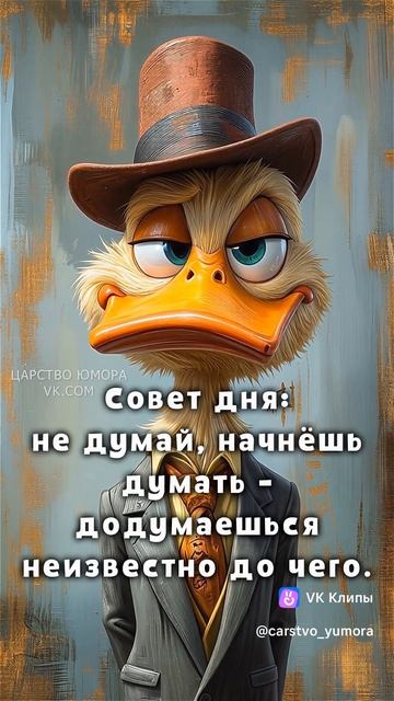 vkclips_20260527103934