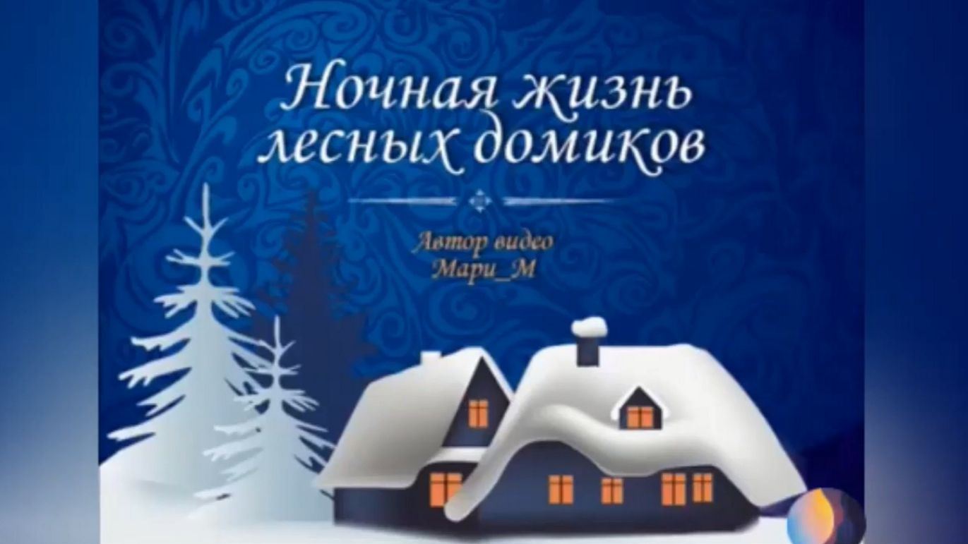 ЛЕСНЫЕ ДОМИКИ