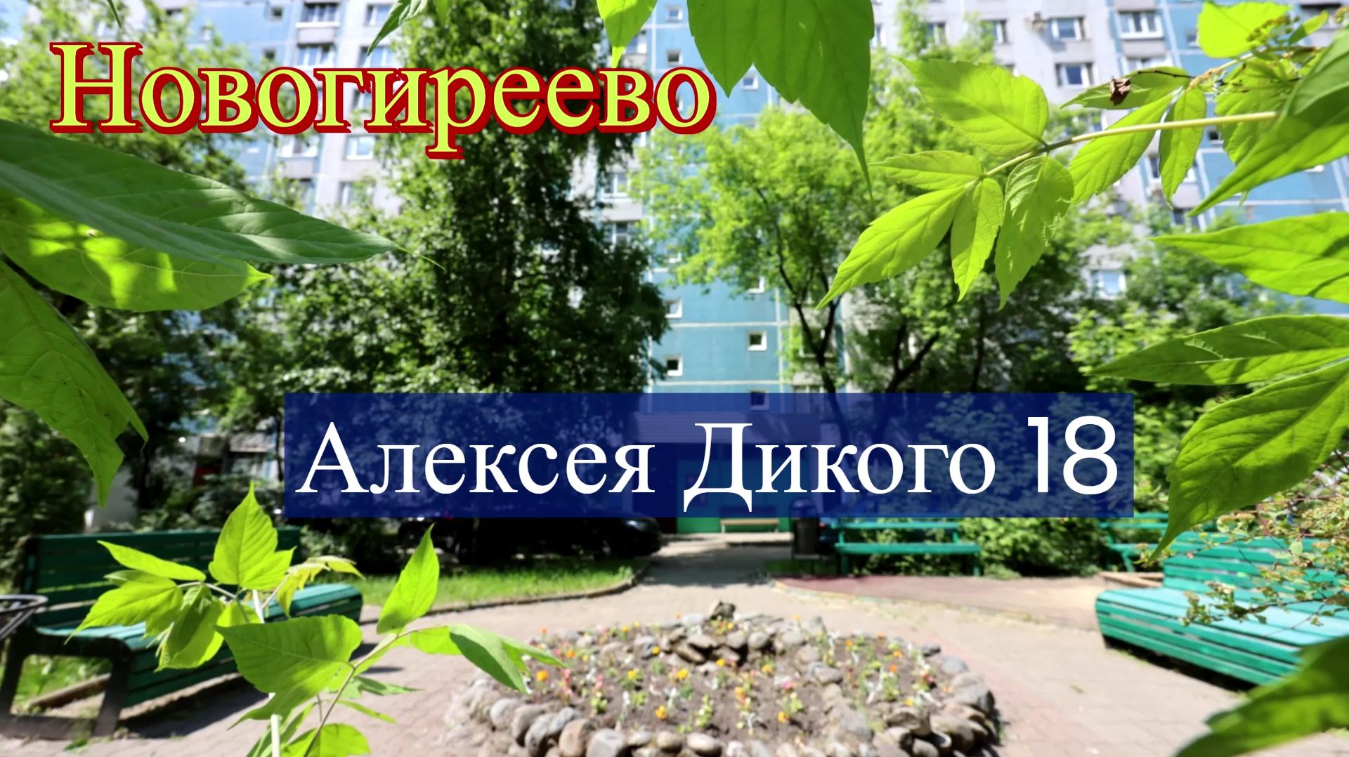 Продажа квартиры в Новогиреево на Алексея Дикого 18