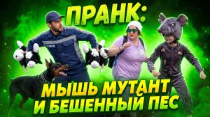 ПРАНК: МЫШЬ МУТАНТ И  БЕШЕННЫЙ ПЕС