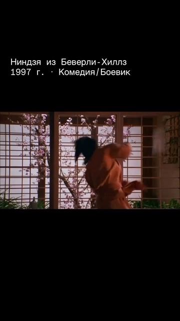 НИНДЗЯ из БЕВЕРЛИ-ХИЛЛЗ
комедия 1997 смотреть онлайн