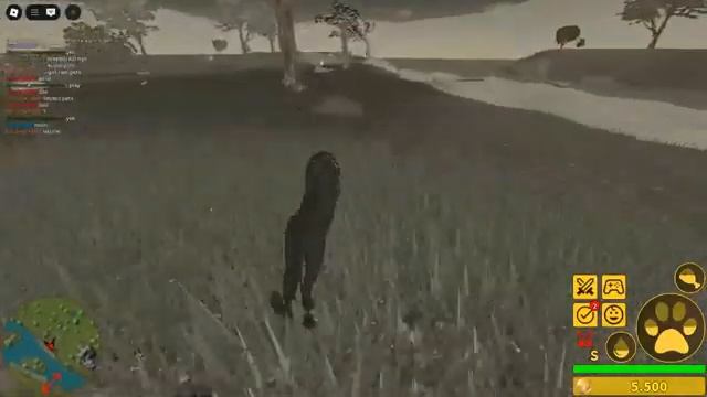 видео из Ютуба ! Саванна лайф  Savanna life