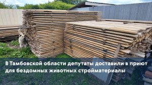 В Тамбовской области депутаты доставили в приют для бездомных животных стройматериалы