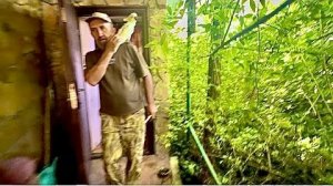 Кира просто ЧУДЕСНО переходит из дома в вольер, не то, что Кешка❤️