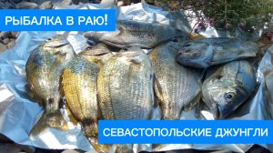 Бешеный КЛЁВ и ТАЙНЫЙ ОАЗИС на Северной стороне Севастополя!! - Ловим и готовим ласкиря с тимьяном!