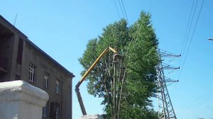 Профессиональные лесорубы показывают мастер-класс возле ЛЭП в центре города
