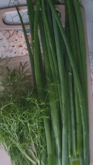 Лёгкий салатик🥒🥒🥒