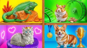 Строим Домики для Животных c Friendly DO
