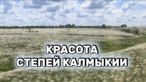 Красота калмыцких степей. Ковыль, барашки и облака✅